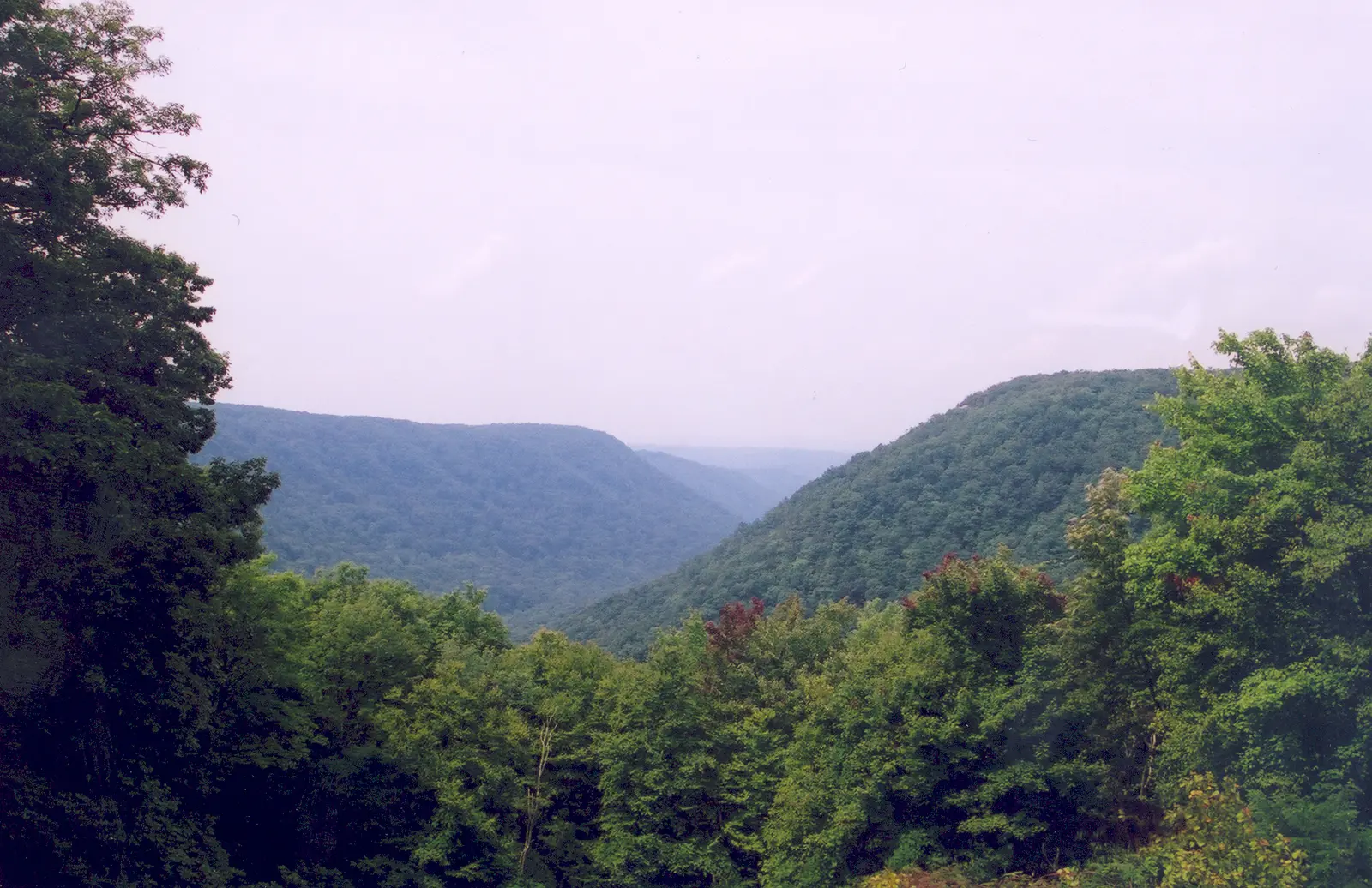 Scope and content: The original finding aid described this photograph as: Original Caption: The rolling, tree-covered hills of the…