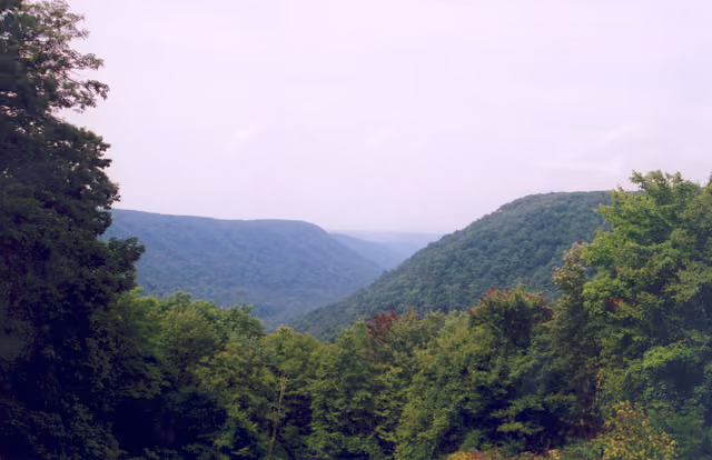Scope and content: The original finding aid described this photograph as: Original Caption: The rolling, tree-covered hills of the…